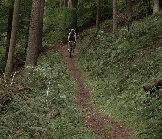Wandern oder Mountainbiken