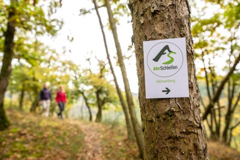Ein Baum mit einem Schild der AhrSchleifen-Wanderroute im Wald, im Hintergrund zwei unscharfe Wanderer.