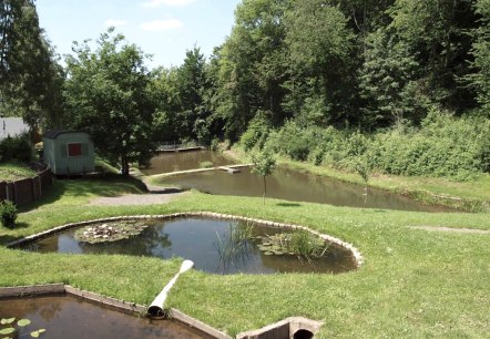 Vijver bij het Silberquellchen, © Eifel Tourismus