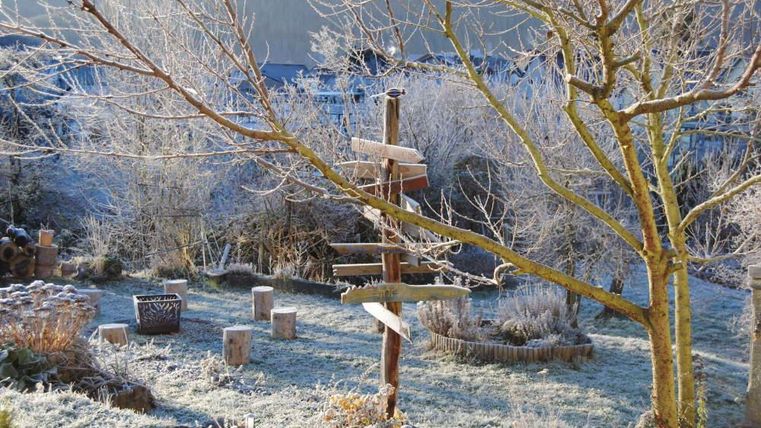 A frosty garden with frozen plants and a clear sky. In the center stand wooden planks and a weather vane.