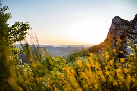 Een schilderachtig landschap met groene heuvels en gele bloemen op de voorgrond. Op de achtergrond is een rotsformatie en de zonsondergang te zien.
