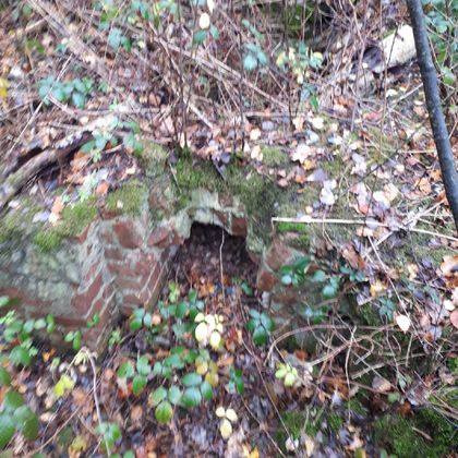 Ein verfallenes Mauerwerk im Wald, umgeben von dichten Sträuchern und Herbstlaub. Die Überreste scheinen von der Natur zurückerobert worden zu sein.