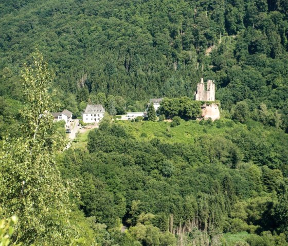 Geyersley Haus & Wald, © Jeroen Bauer