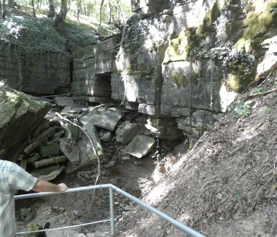 A man looks at a moss-covered rock formation in the forest. The scene is flooded with natural light., © TI Bitburger Land