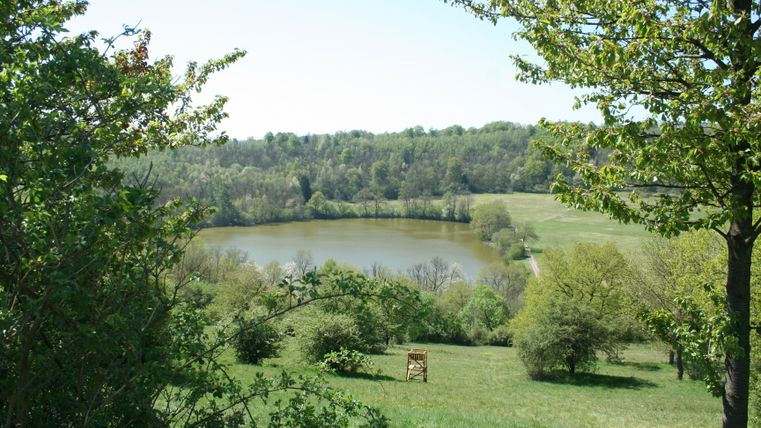 Vue sur l'Immerather Maar, entouré d'arbres verts et de prairies, avec un perchoir au premier plan.