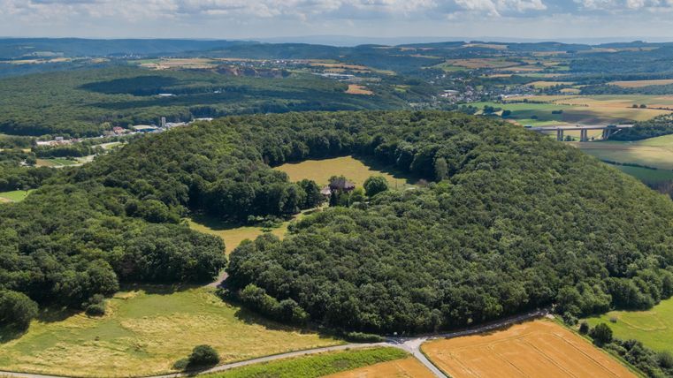 Eine grüne Waldlandschaft in der Form eines Ringes, umgeben von Feldern und Hügeln. Der Himmel ist bewölkt, was eine ruhige Atmosphäre schafft.