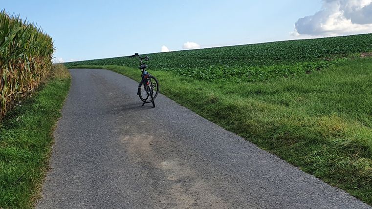 Un vélo est garé sur un étroit chemin asphalté, entouré de champs de maïs et de prairies vertes sous un ciel bleu.