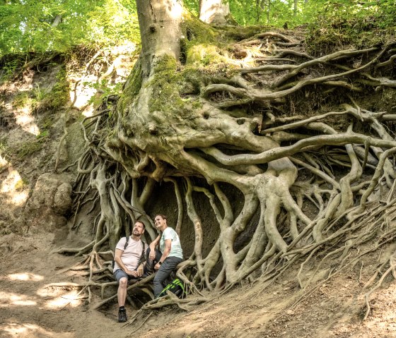 Fairytale hiking rest in the Wolfsschlucht gorge, Traumpfad cave and gorge trail, © Eifel Tourismus GmbH, Dominik Ketz