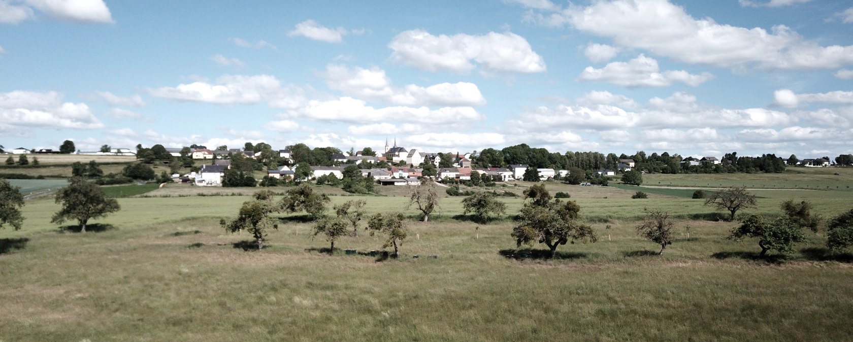 Des prairies vertes avec des arbres épars, le village d'Idenheim en arrière-plan sous un ciel bleu avec des nuages blancs., © Ingrid Penning