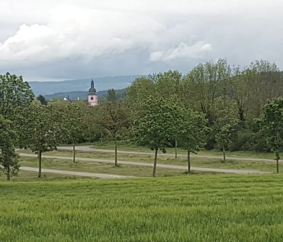 Vue sur l'église Saint-Marc et l'emplacement, © Tourist-Information Wittlich Stadt & Land