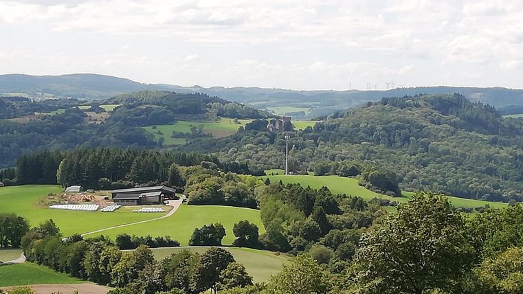 Aussicht XXL-Bank