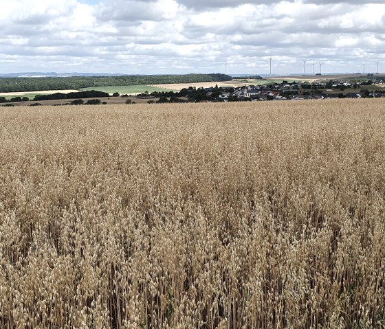 Vaste champ de céréales avec un village et des éoliennes en arrière-plan. Le ciel est nuageux, le paysage semble vaste et calme., © Tourist-Information Bitburger Land