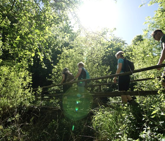 Small bridge over the Elz after the slate quarries, © Laura Rinneburger
