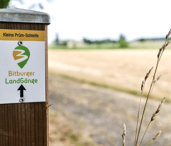Bitburger LandGänge signpost with the inscription 'Kleine Prüm-Schleife' in front of a field in a rural setting., © TI Bitburger Land