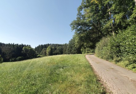 Een smal pad loopt langs de rand van een bos, omringd door groene weiden en bomen. De lucht is helder en blauw., © Tourist-Information Bitburger Land