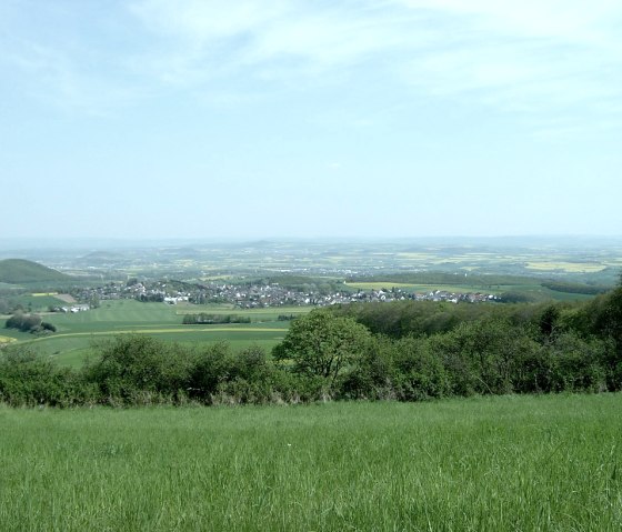 Vues lointaines depuis la tour du cou de l'oie, © VG Mendig/Neideck