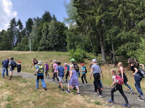 A group of children is hiking along a path in nature. In the background, trees and a meadow can be seen.