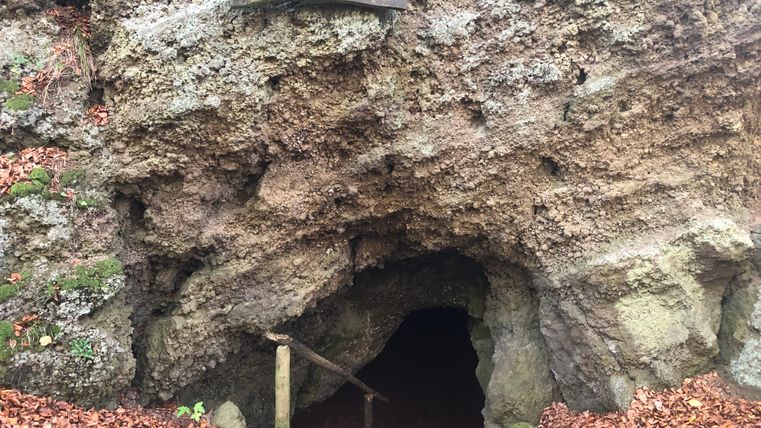 Entrance to the Martinshöhle cave in Hohenfels Essingen, surrounded by foliage and rocks.