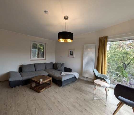großes geräumiges Wohnzimmer