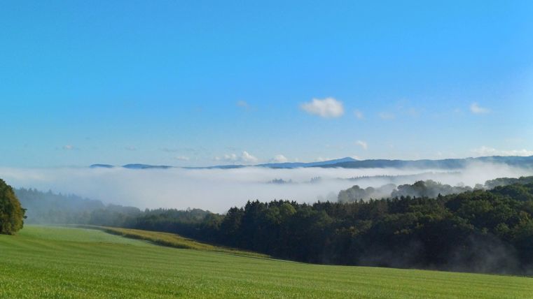 Bei ausgedehnten Spaziergängen um Senscheid kann man die Natur genießen.