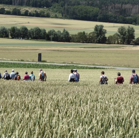 Wandern mit dem Bürgermeister, © G. Hanemann
