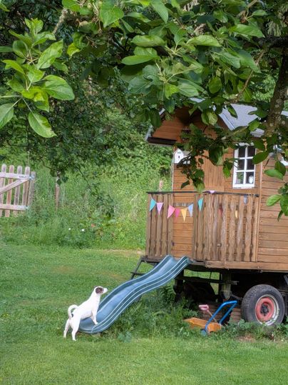 Ein kleiner Hund steht vor einer Holzliege und schaut nach oben. Im Hintergrund ist ein gemütliches Holzhaus mit bunten Wimpeln und einem grünen Garten.