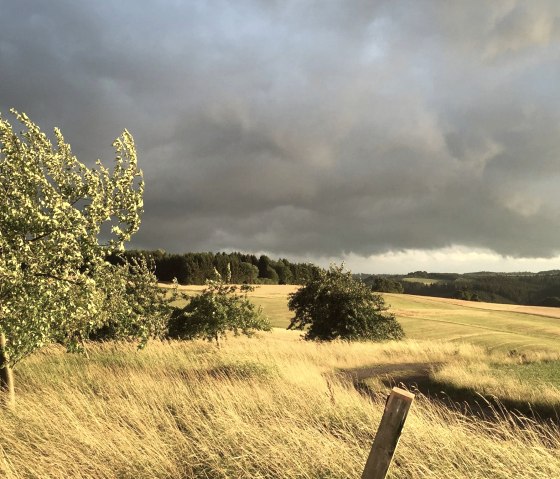 Gewitter