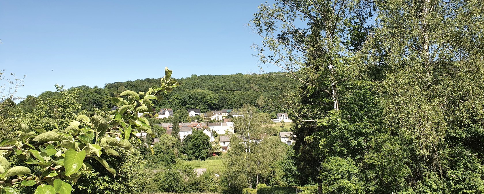 View of the village of Hüttingen, nestled in a green landscape with trees and meadows under a clear blue sky., © TI Bitburger Land
