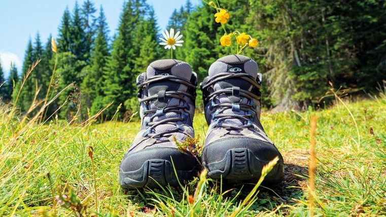 A pair of hiking shoes is standing on a green meadow, surrounded by colorful flowers. In the background, one can see tall trees and a clear blue sky.