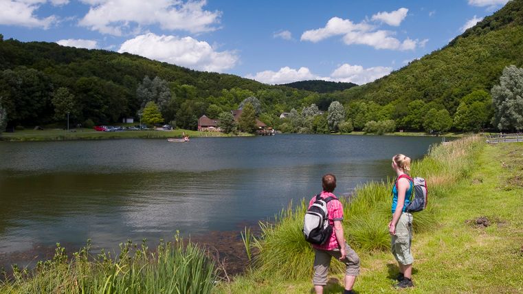 Two hikers look at a lake surrounded by wooded hills and a blue sky.