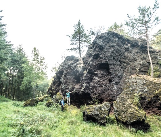 Wollmerather Kopp on the Maare and Thermen Trail in the Eifel, © Eifel Tourismus GmbH, D. Ketz