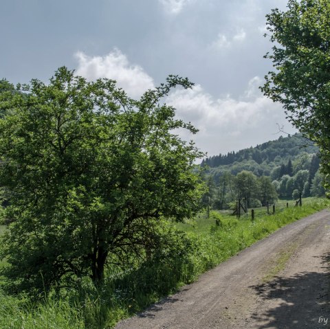 Le long de prairies verdoyantes sur de larges chemins de campagne, © Volker Windheuser