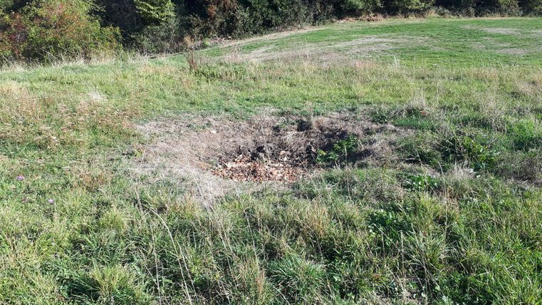 Un terrain vacant avec de l'herbe haute et quelques feuilles sèches. À l'arrière-plan, des arbres sont visibles.