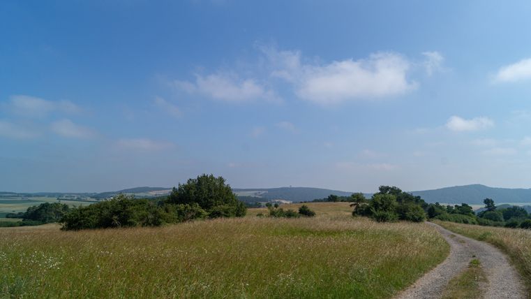 Ein Weg führt durch eine grüne Wiese mit Bäumen im Hintergrund unter einem blauen Himmel.