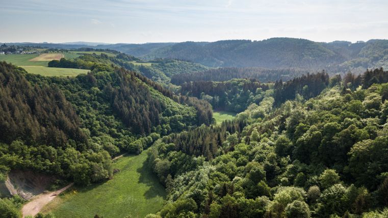 Vue aérienne d'une vallée verdoyante avec des forêts et des prairies, entourée de collines sous un ciel bleu.