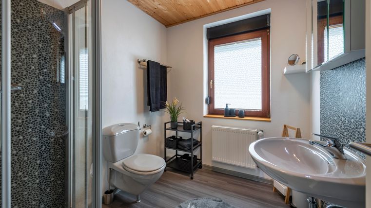 Een moderne badkamer met douche, toilet en wastafel. Het houten plafond en het raam zorgen voor een heldere, uitnodigende sfeer.