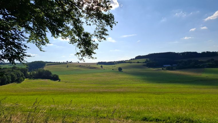 Ein Blick vom Wald ins Tal ist Wunderschön