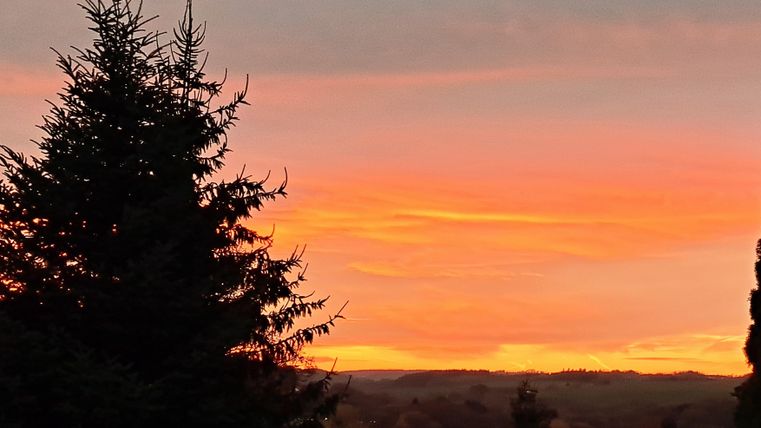 Een zonsondergang boven een bosrijk landschap. De lucht straalt in oranje en roze kleuren.
