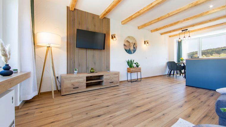 A modern living room with wooden floors and visible wooden ceiling beams. The decor is bright and friendly, with plants and a television.