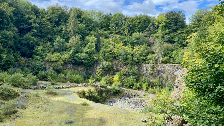 View into a green quarry with trees and rocks.