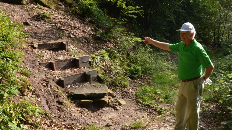 Een man in groene kleding wijst naar een bospad met houten treden.