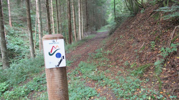Wegweiser an einem Holzpfosten mit blauem Punkt in einem Nadelwald