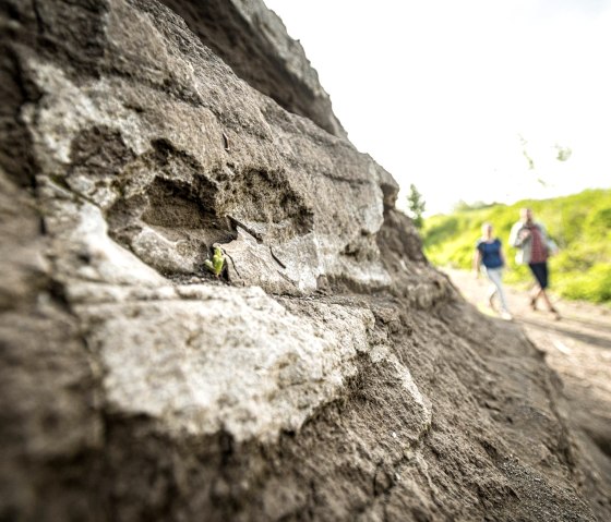 Steffeln Vulkangarten, © Eifel Tourismus GmbH, Dominik Ketz
