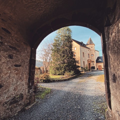 Uitzicht door de poort, Kasteel van Roth, © Felsenland Südeifel Tourismus GmbH, AC Krebs