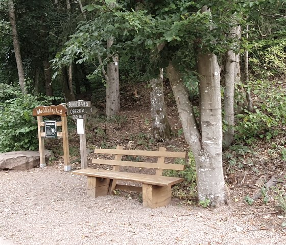 Wooden bench and 'Walderlebnispfad' sign in the forest, surrounded by trees and plants., © TI Bitburger Land - Steffi Wagner