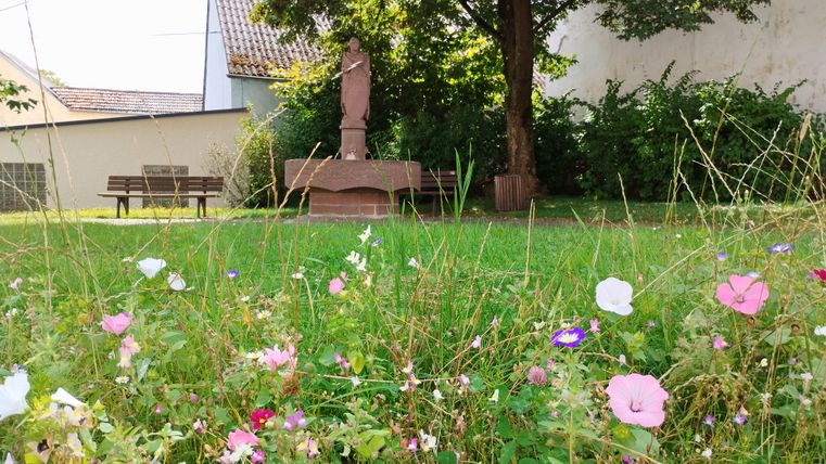 Standbeeld van Donatus in een tuin met bloemen op de voorgrond.
