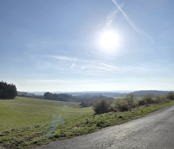 Ausblick / Wanderweg