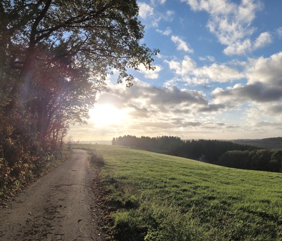 Autumn walk near Prüm, © Tourist-Information Prümer Land Sebastian Wiesen