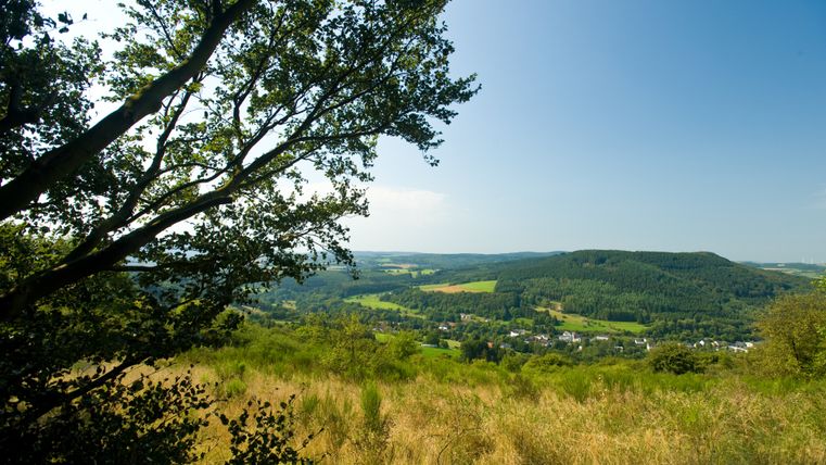 Vue du paysage depuis le Eifelsteig avec des arbres au premier plan et des collines en arrière-plan.