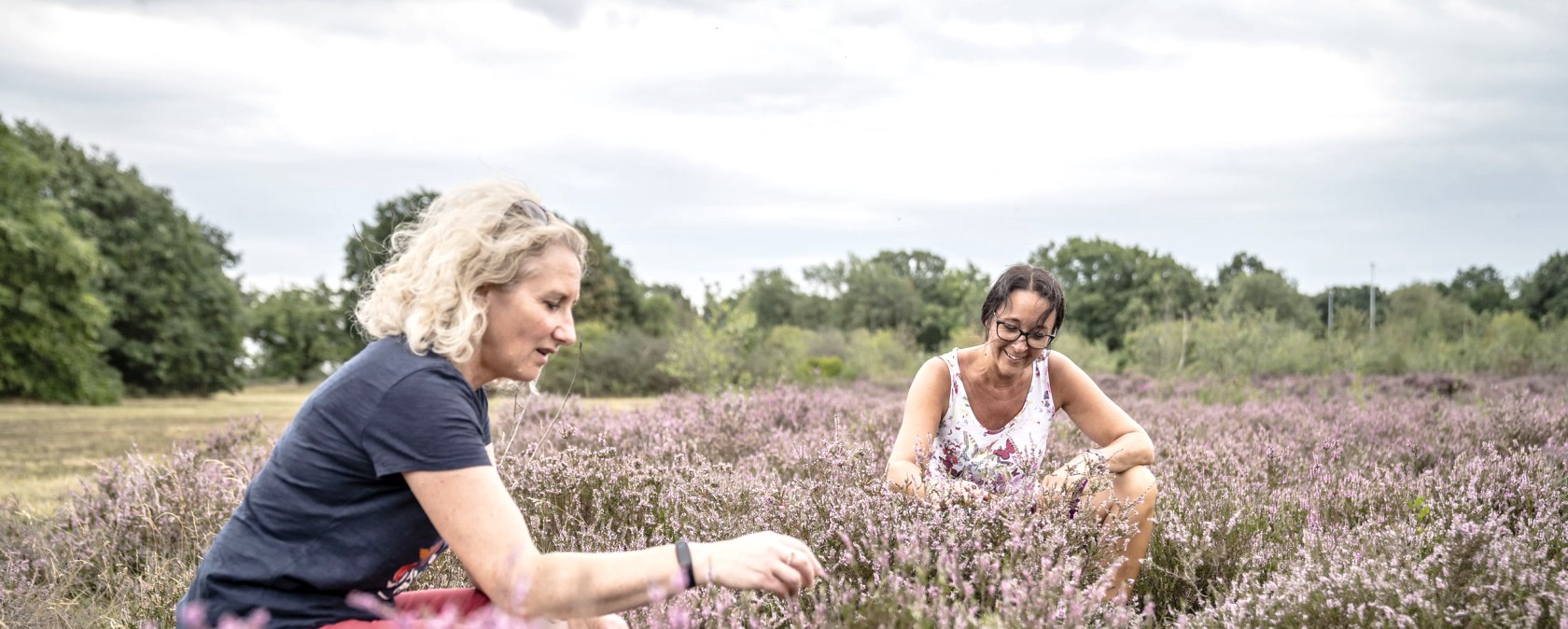In the Drover Heath, © Dennis-Stratmann, Kreis-Düren